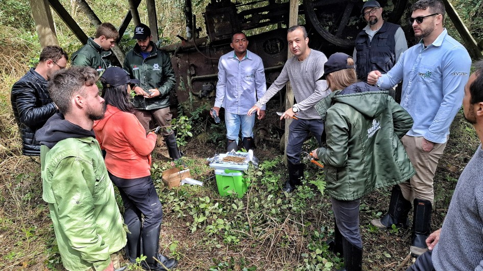 projeto-reflora-atua-no-reflorestamento-de-areas-degradadas-pelas-enchentes-de-2024