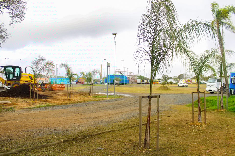 parque-harmonia-recebe-plantio-de-mudas-apos-remocao-de-103-arvores