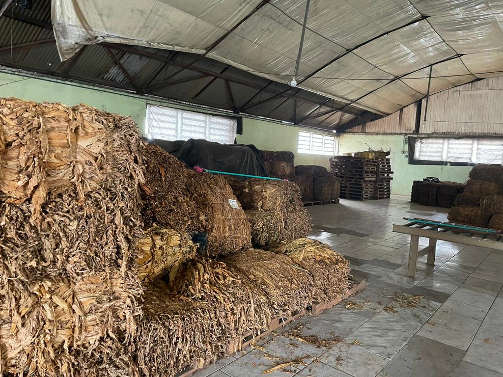 operacao-apreende-4,7-toneladas-de-tabaco-irregular-em-industria-de-sobradinho