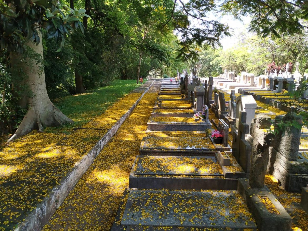 porto-alegre:-cemiterios-municipais-terao-horario-especial-no-dia-de-finados